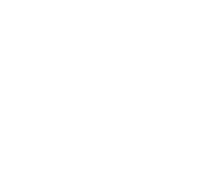 VOB Icon